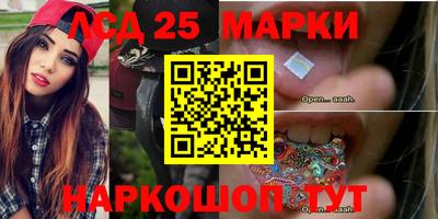 гидропоника Бийск