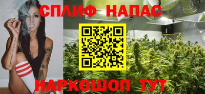 гидропоника Бийск