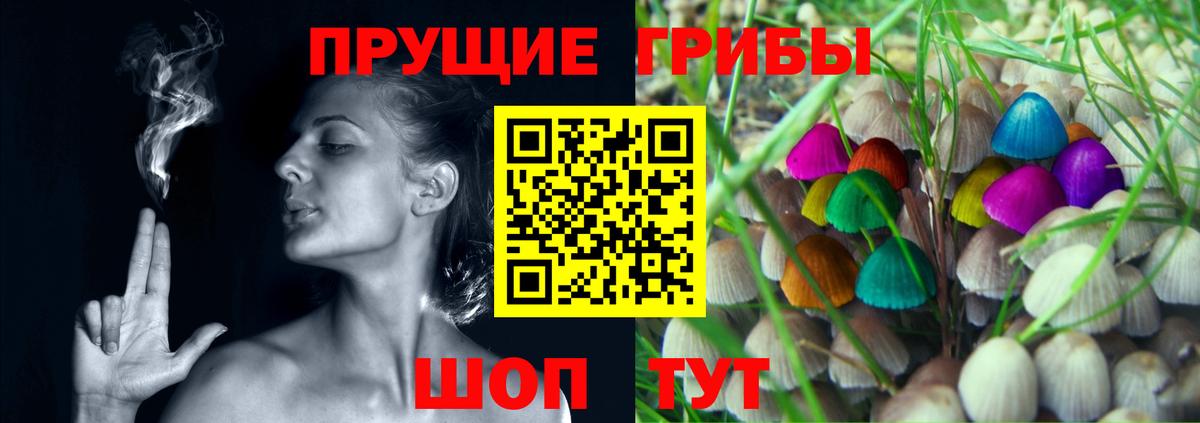 Псилоцибиновые грибы прущие грибы  Вход с VPN  Псилоцибиновые грибы Cubensis  Сергиев Посад 